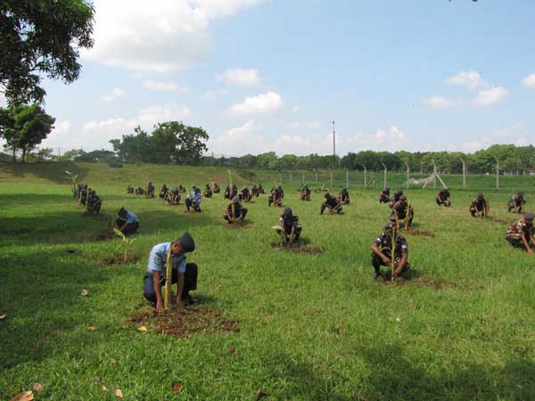 SLAF Plants 100000 Trees