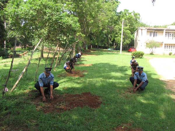 SLAF Plants 100000 Trees
