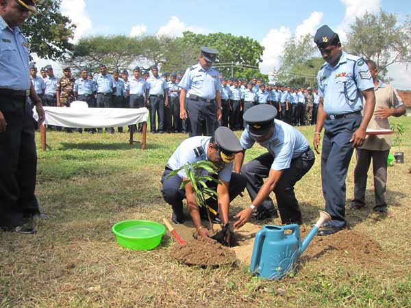 SLAF Plants 100000 Trees