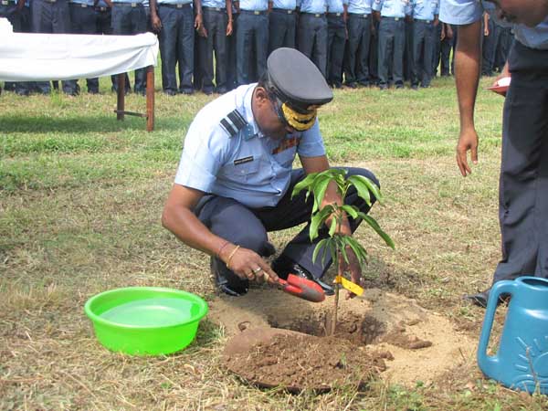 SLAF Plants 100000 Trees