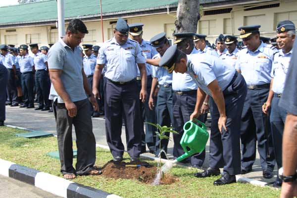 SLAF Plants 100000 Trees