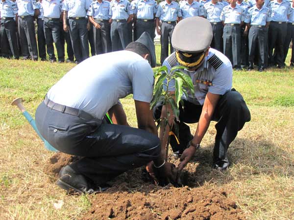 SLAF Plants 100000 Trees