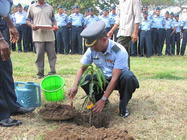 SLAF Plants 100000 Trees