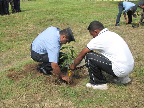 SLAF Plants 100000 Trees