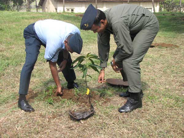 SLAF Plants 100000 Trees