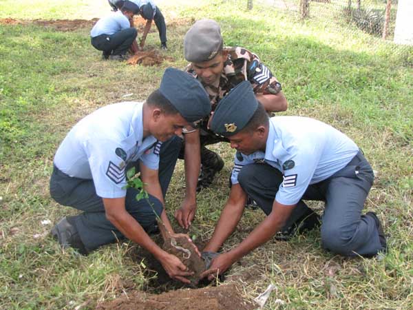 SLAF Plants 100000 Trees