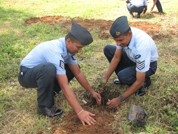 SLAF Plants 100000 Trees