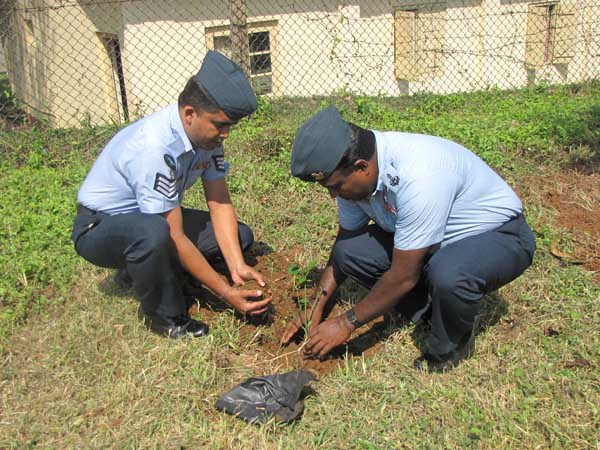 SLAF Plants 100000 Trees