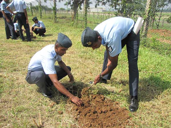 SLAF Plants 100000 Trees