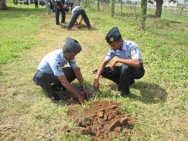 SLAF Plants 100000 Trees