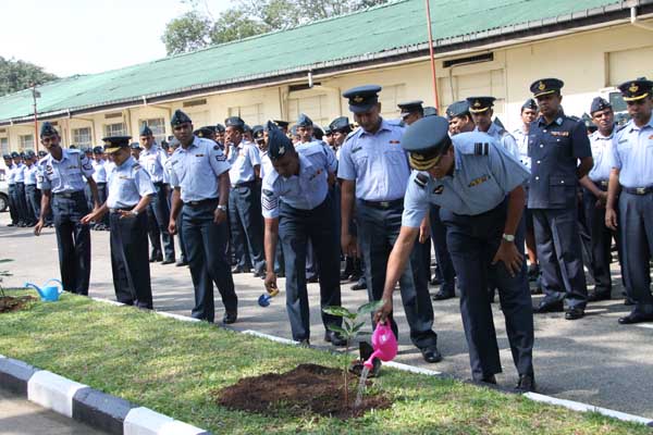 SLAF Plants 100000 Trees