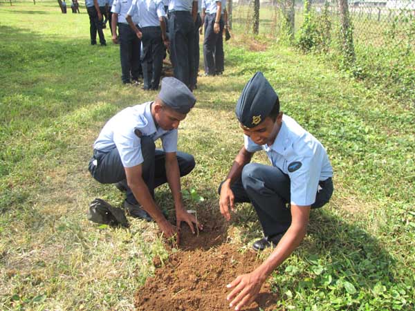 SLAF Plants 100000 Trees