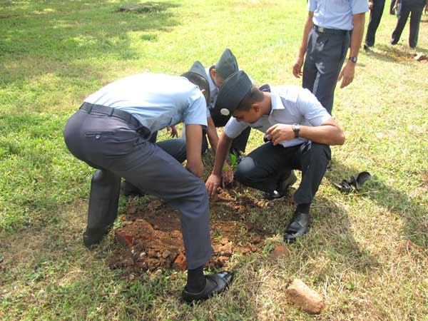 SLAF Plants 100000 Trees