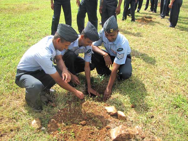 SLAF Plants 100000 Trees