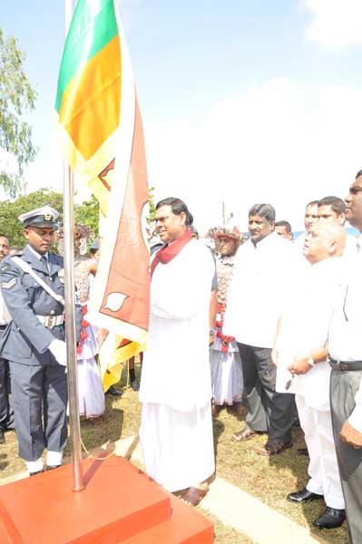 SLAF Plants 100000 Trees