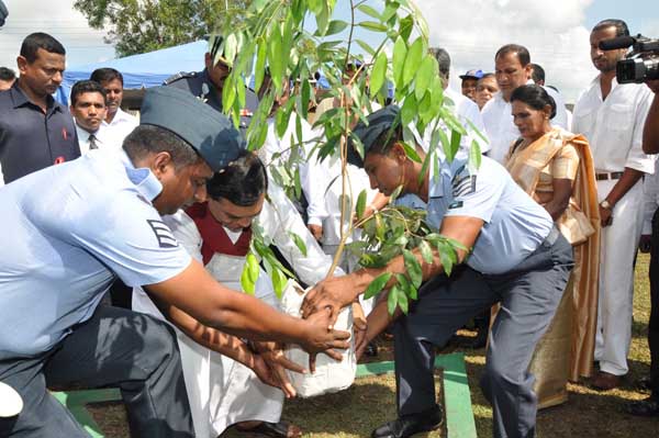 SLAF Plants 100000 Trees