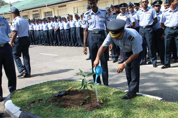 SLAF Plants 100000 Trees