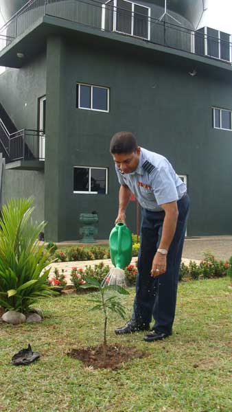 SLAF Plants 100000 Trees