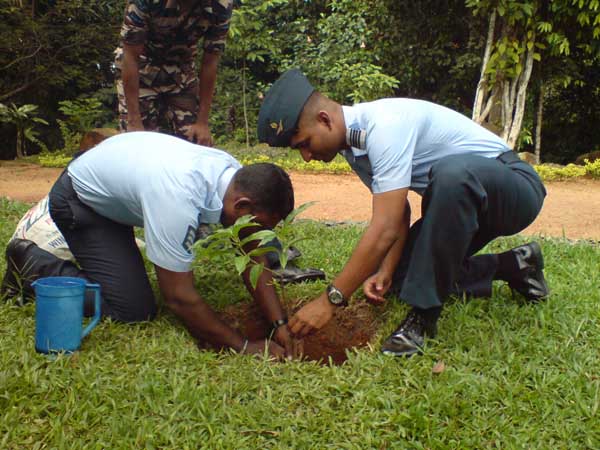 SLAF Plants 100000 Trees