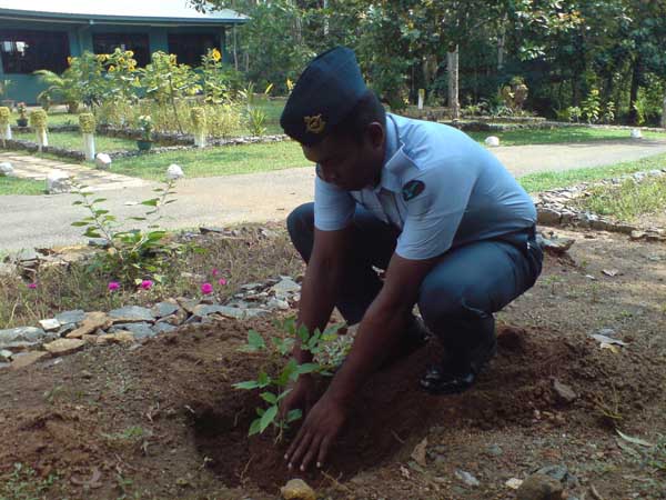 SLAF Plants 100000 Trees