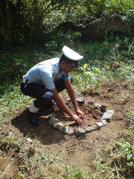 SLAF Plants 100000 Trees