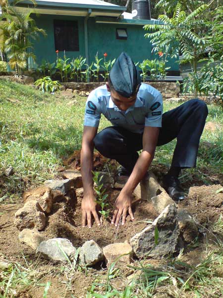 SLAF Plants 100000 Trees