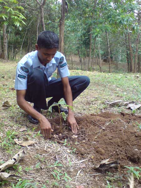 SLAF Plants 100000 Trees