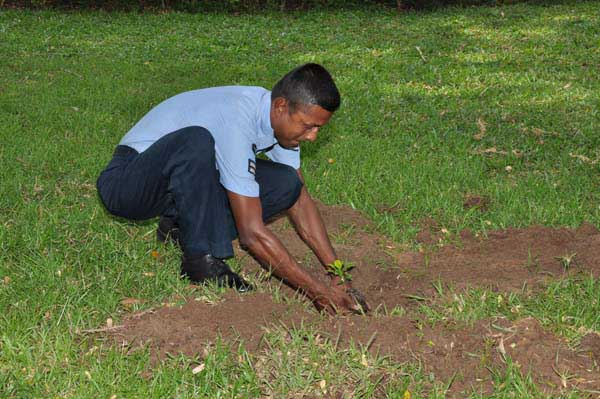 SLAF Plants 100000 Trees