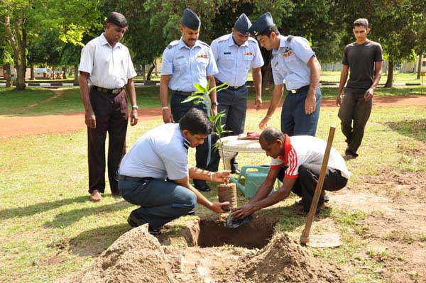 SLAF Plants 100000 Trees