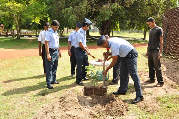 SLAF Plants 100000 Trees