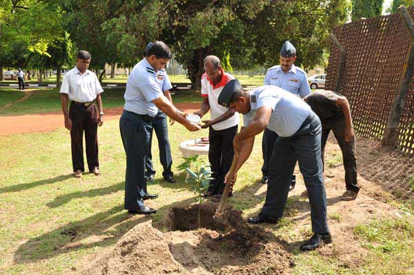 SLAF Plants 100000 Trees