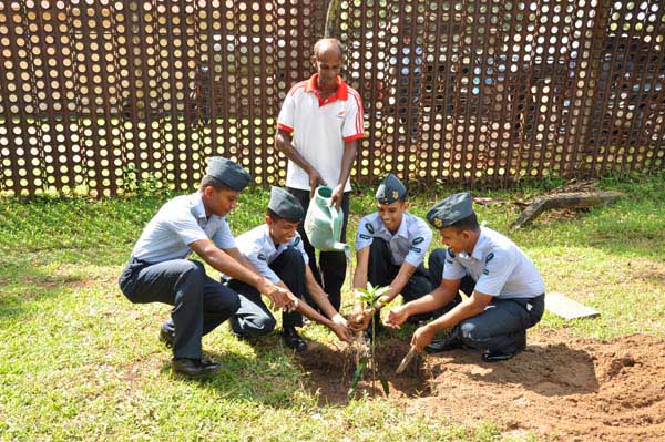 SLAF Plants 100000 Trees