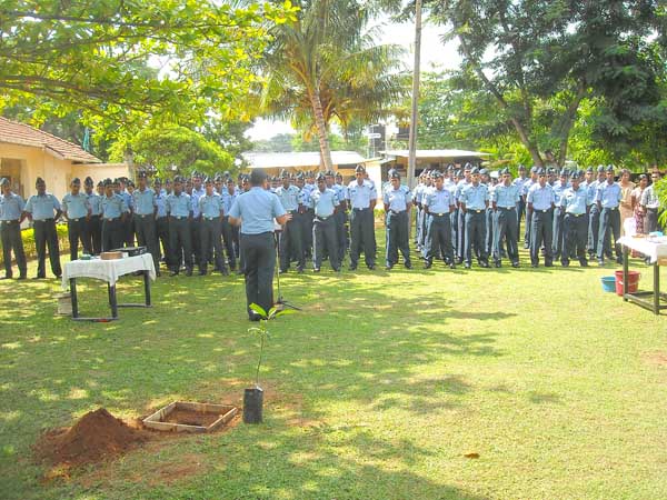 SLAF Plants 100000 Trees