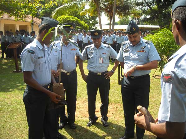 SLAF Plants 100000 Trees