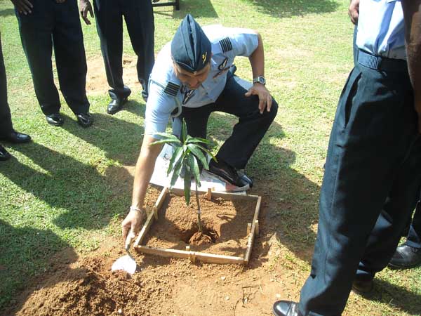SLAF Plants 100000 Trees