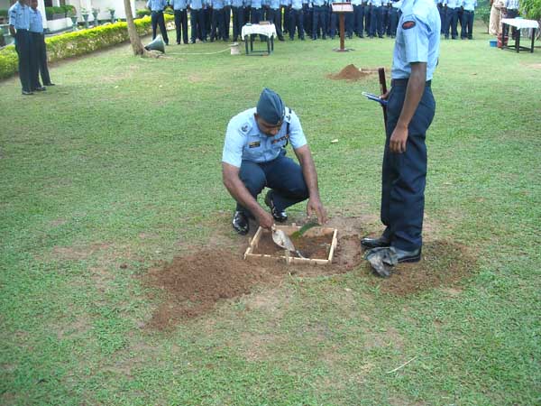 SLAF Plants 100000 Trees