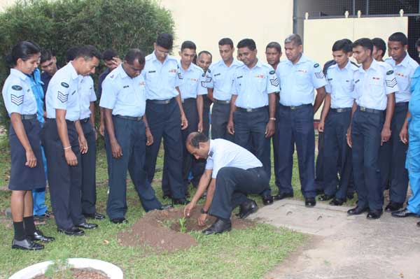 SLAF Plants 100000 Trees