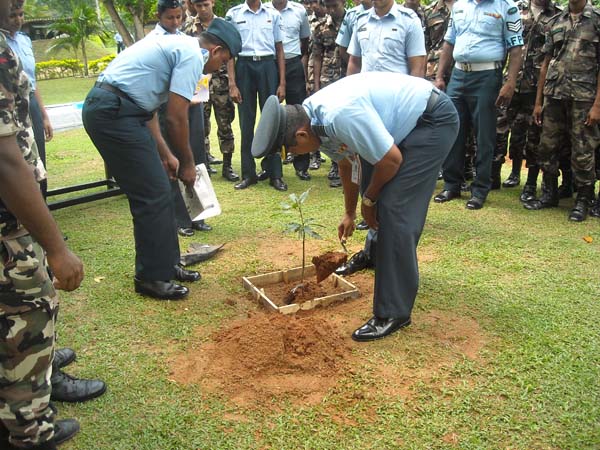 SLAF Plants 100000 Trees