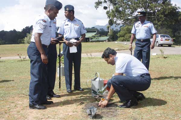 SLAF Plants 100000 Trees