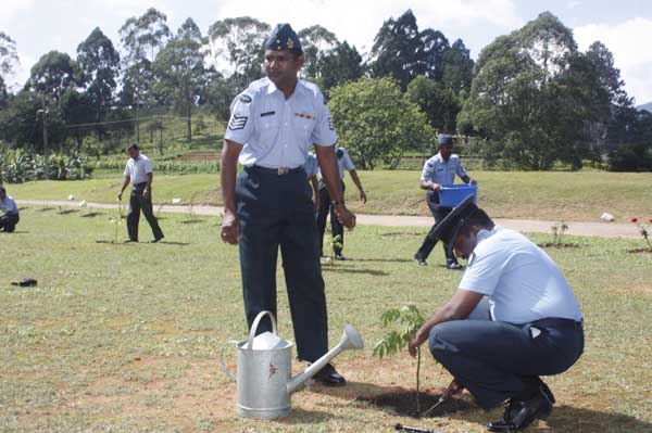 SLAF Plants 100000 Trees