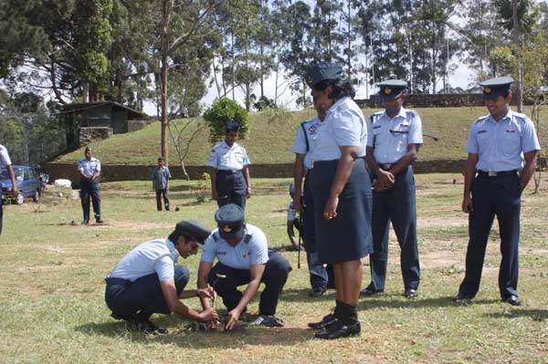 SLAF Plants 100000 Trees