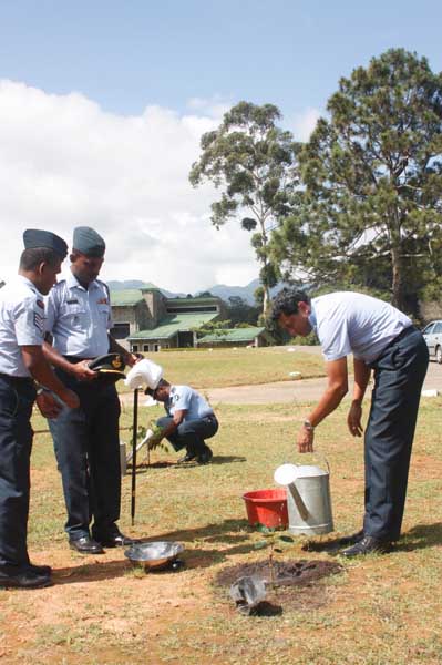 SLAF Plants 100000 Trees