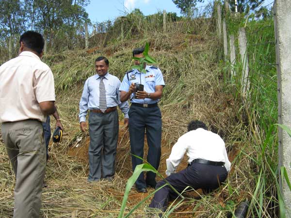 SLAF Plants 100000 Trees