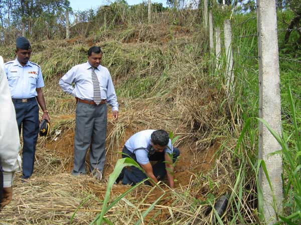 SLAF Plants 100000 Trees