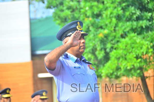 SLAF Welcomes the New Year