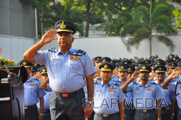 SLAF Welcomes the New Year