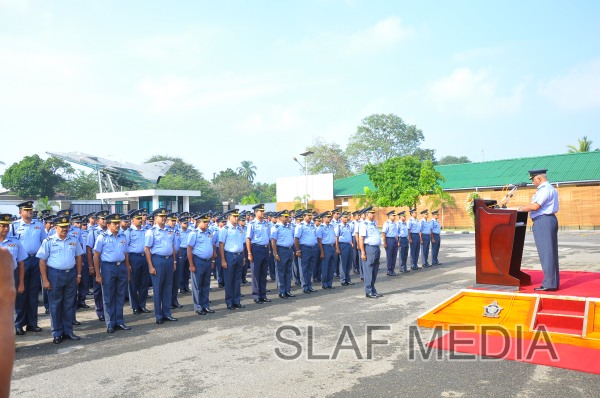 SLAF Welcomes the New Year