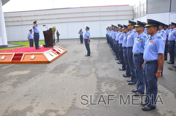 SLAF Welcomes the New Year