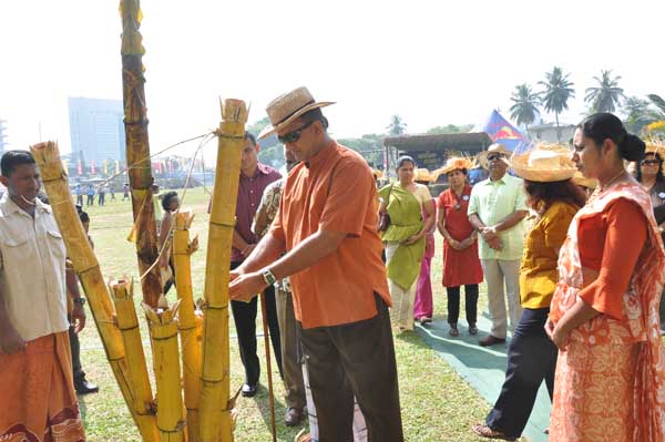 Avurudu comes to SLAF Colombo!