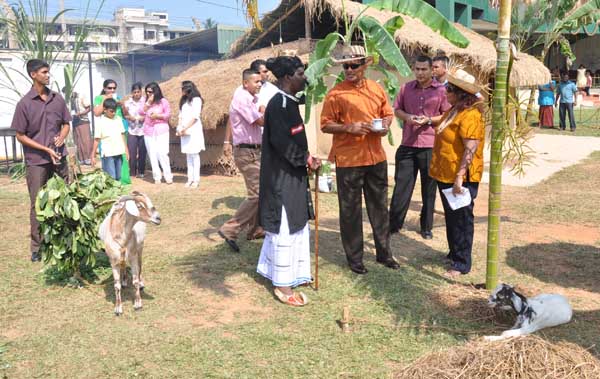 Avurudu comes to SLAF Colombo!